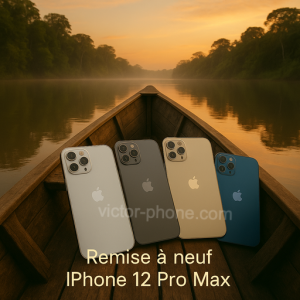 5. Remise à neuf iPhone 12 Pro Max
