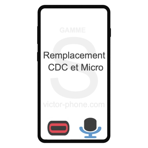 3. Remp. CDC et Micro Galaxy S22 Plus (S906)
