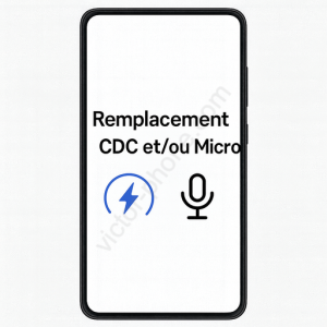 3. Remp. CDC et Micro Galaxy A04e (A042)